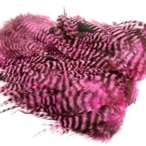 FlyCo Whiting Soft Hackle With Chickabou