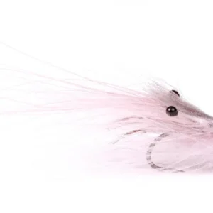 Pattegrisen Grey